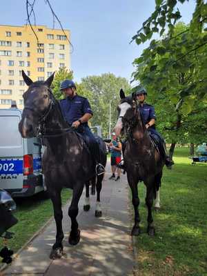 Policjanci na koniach.