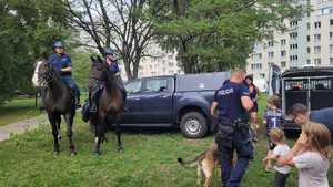 Policjanci na pikniku.