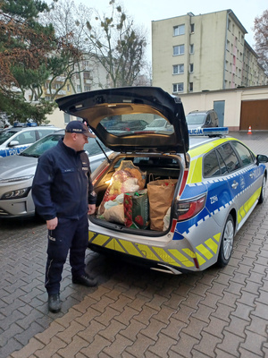 Policjant przy radiowozie.