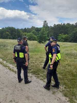 Policjant, strażnicy miejscy i leśniczy.