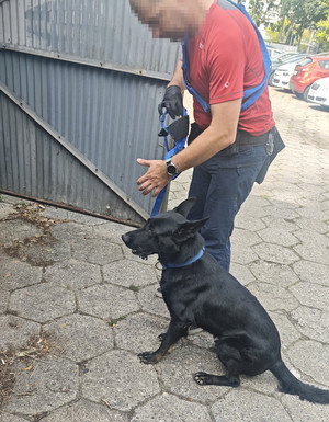 Policjant z psem.