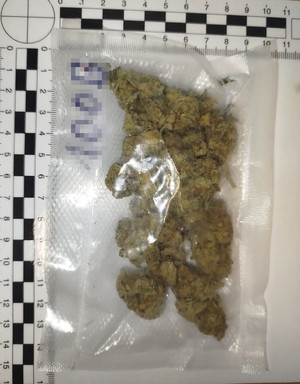 Susz roślinny w torebce foliowej.