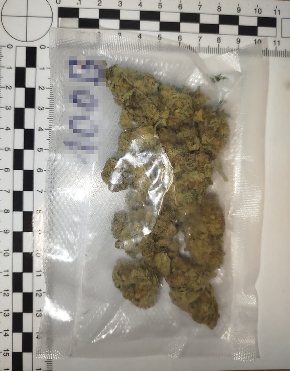 Susz roślinny w torebce foliowej.