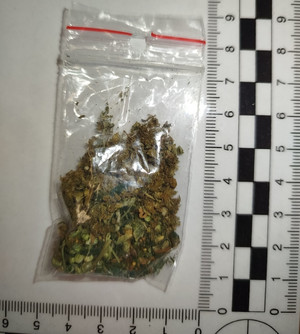 Susz roślinny w torebce.