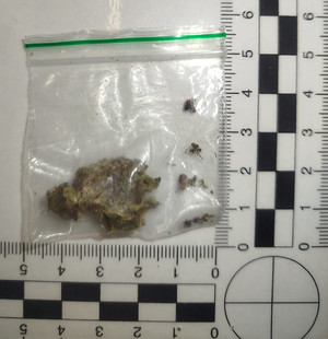 Susz roślinny w woreczku.