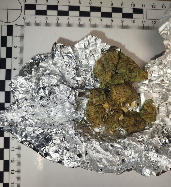 Susz roślinny na folii aluminiowej.