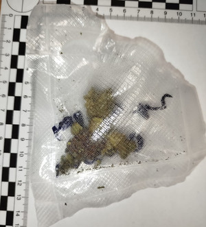 Susz roślinny w foliowej torebce.