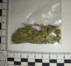 Susz roślinny w woreczku foliowym.