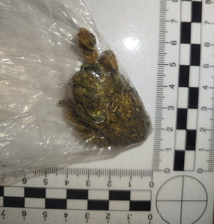 Susz roślinny w foliowej torebce.