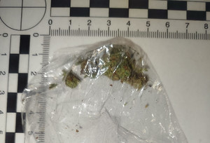 Susz roślinny w torebce foliowej.