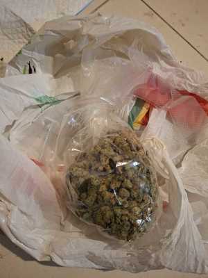 Susz roślinny w torebce foliowej.