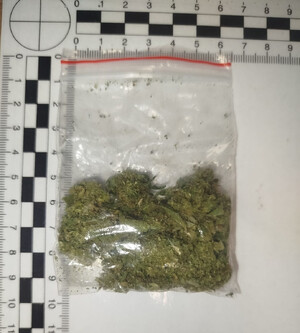 Torebka z suszem roślinnym.