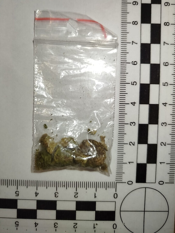 Susz roślinny w torebce