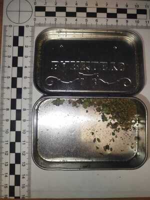 Susz roślinny w metalowym pudełku.