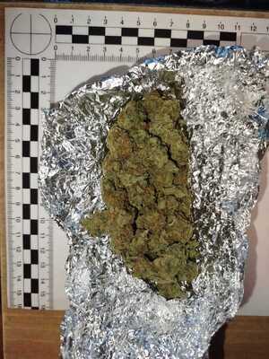 Susz roślinny na aluminiowej folii.