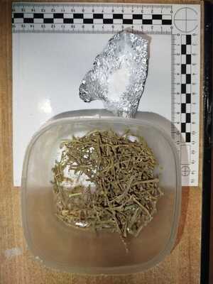 Susz roślinny i biały proszek.